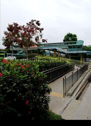 Holland Avenue (Queenstown), HDB HUDC #554670511